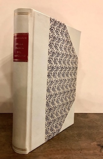 Giuseppe Amico Casagrande Della pianta del sanguino, dell'olio delle sanguinelle, e degli usi del medesimo. Trattato fisico-economico presentato alla pubblica utilità ... 1787 in Roma presso i Lazzarini